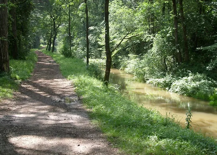 Апартаменты La Ginelle - Guy *